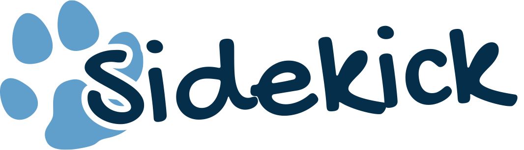 sidekick-stylized-font